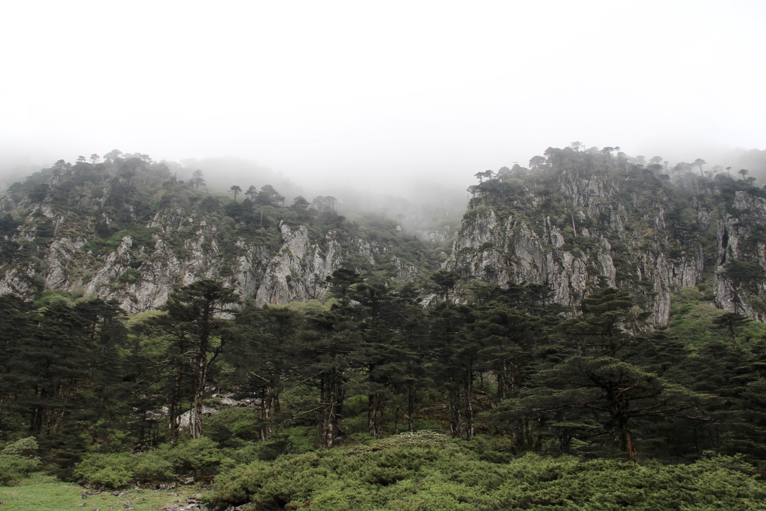 苍山